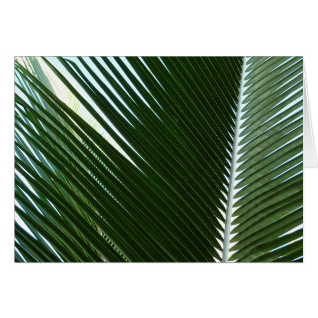 Overlapping Palm Fronds Tropical Green Abstract Cards (Front Horizontal)