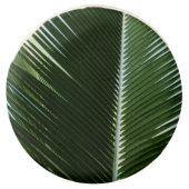 Overlapping Palm Fronds Tropical Green Abstract Chocolate Covered Oreo (Front)