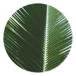 Overlapping Palm Fronds Tropical Green Abstract Classic Round Sticker