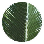 Overlapping Palm Fronds Tropical Green Abstract Classic Round Sticker