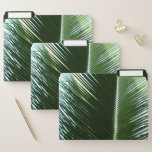 Overlapping Palm Fronds Tropical Green Abstract File Folder