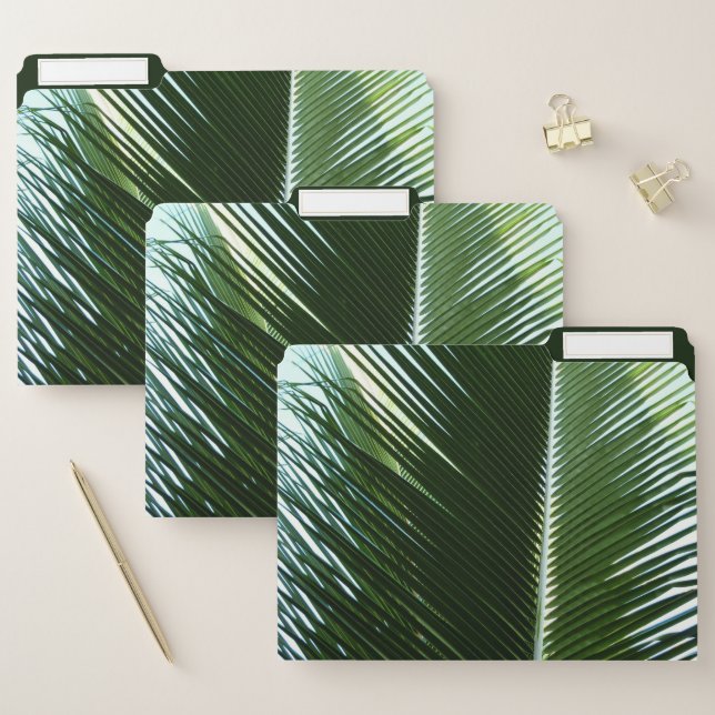 Overlapping Palm Fronds Tropical Green Abstract File Folder (Set)