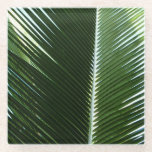 Overlapping Palm Fronds Tropical Green Abstract Glass Coaster