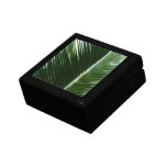 Overlapping Palm Fronds Tropical Green Abstract Keepsake Box