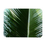 Overlapping Palm Fronds Tropical Green Abstract Magnet