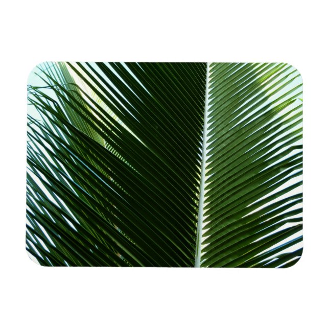 Overlapping Palm Fronds Tropical Green Abstract Magnet (Horizontal)