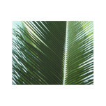 Overlapping Palm Fronds Tropical Green Abstract Metal Print