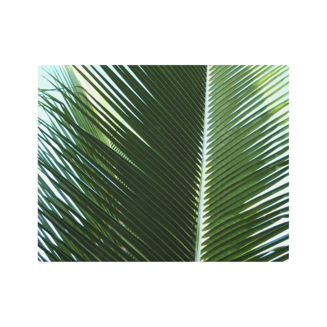 Overlapping Palm Fronds Tropical Green Abstract Metal Print (Front)
