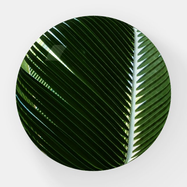 Overlapping Palm Fronds Tropical Green Abstract Paperweight (Front)