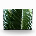 Overlapping Palm Fronds Tropical Green Abstract Photo Block