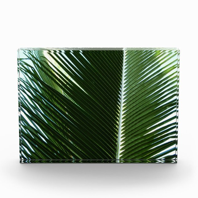 Overlapping Palm Fronds Tropical Green Abstract Photo Block (Front)