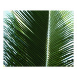 Overlapping Palm Fronds Tropical Green Abstract Photo Print