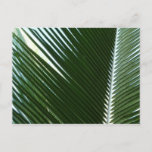 Overlapping Palm Fronds Tropical Green Abstract Postcard