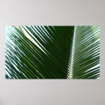 Overlapping Palm Fronds Tropical Green Abstract Poster
