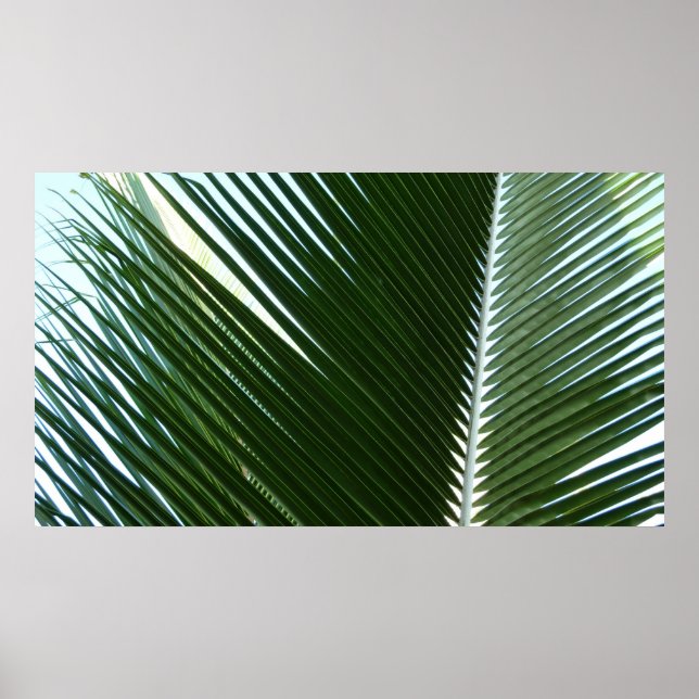 Overlapping Palm Fronds Tropical Green Abstract Poster (Front)