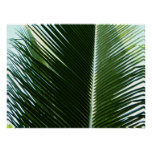 Overlapping Palm Fronds Tropical Green Abstract Poster