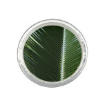 Overlapping Palm Fronds Tropical Green Abstract Ring