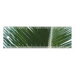 Overlapping Palm Fronds Tropical Green Abstract Ruler