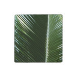 Overlapping Palm Fronds Tropical Green Abstract Stone Magnet