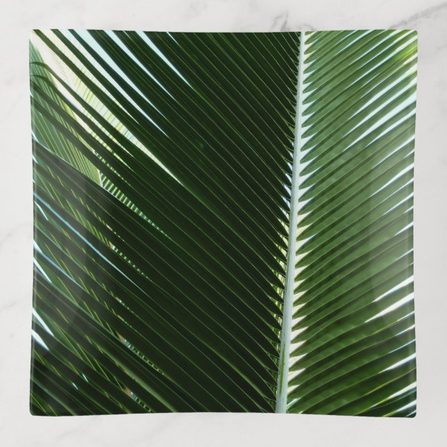 Overlapping Palm Fronds Tropical Green Abstract Trinket Tray (Front)