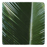 Overlapping Palm Fronds Tropical Green Abstract Trivet