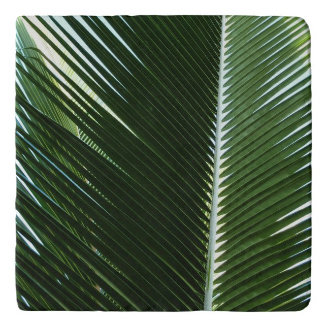 Overlapping Palm Fronds Tropical Green Abstract Trivet (Front)