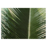 Overlapping Palm Fronds Tropical Green Abstract Wood Poster