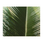 Overlapping Palm Fronds Tropical Green Abstract Wood Wall Art
