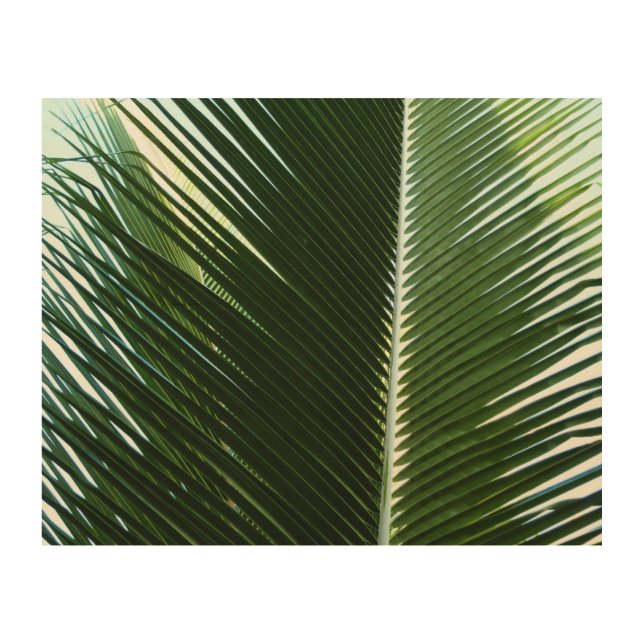 Overlapping Palm Fronds Tropical Green Abstract Wood Wall Art (Front)
