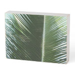 Overlapping Palm Fronds Tropical Green Abstract Wooden Box Sign
