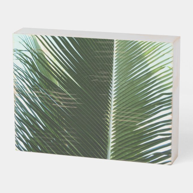 Overlapping Palm Fronds Tropical Green Abstract Wooden Box Sign (Angled Horizontal)