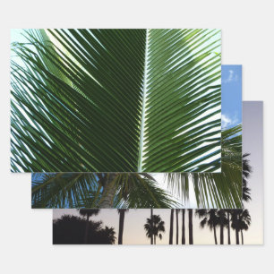 Overlapping Palm Fronds Tropical Green Abstract Wrapping Paper Sheets