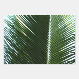 Overlapping Palm Fronds Tropical Green Abstract Wrapping Paper Sheets