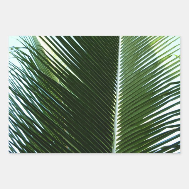 Overlapping Palm Fronds Tropical Green Abstract Wrapping Paper Sheets (Front)