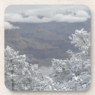 Overlook Grand Canyon National Park Mule Ride Beverage Coaster