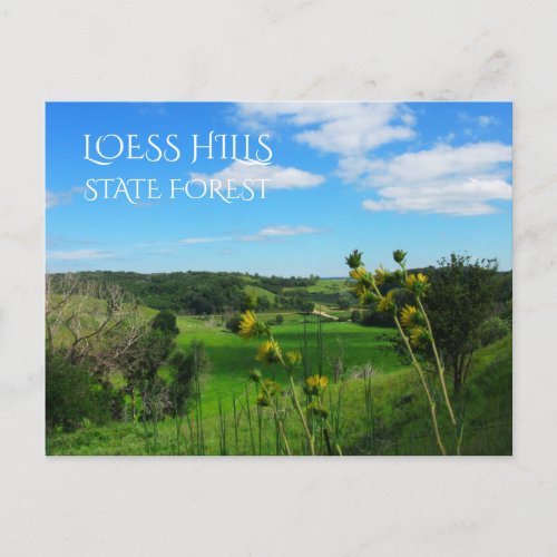 Overlook Path View Loess Hills State Forest Iowa Postcard