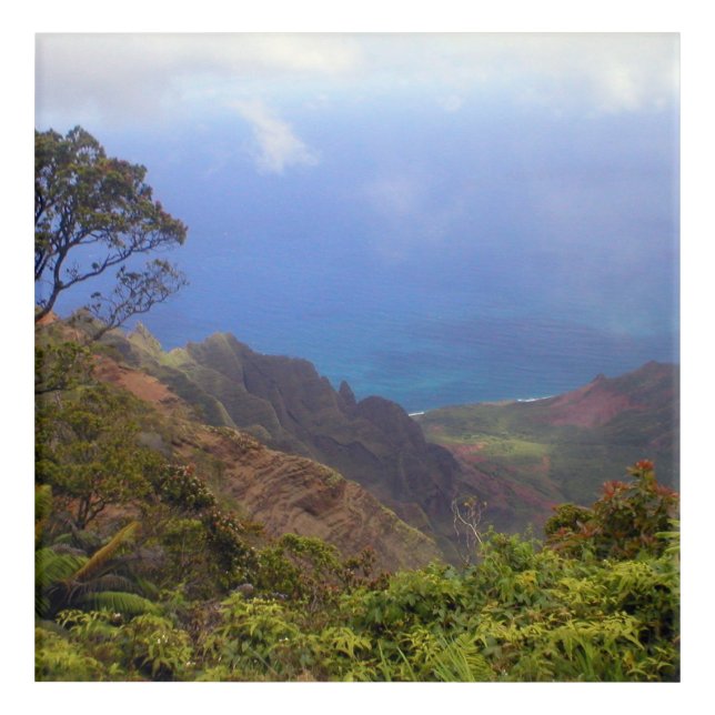 Overlooking the Ocean photo on  Acrylic Print (Front)