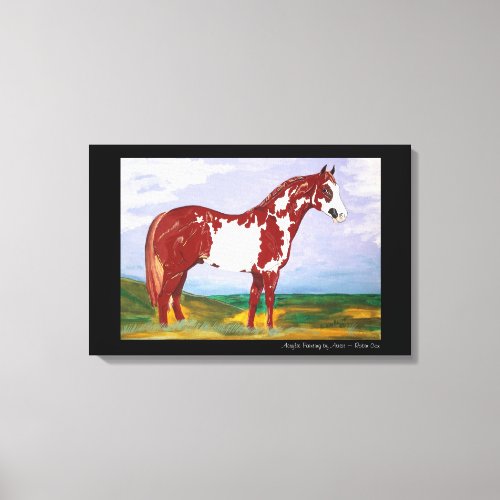 Overo Paint Stallion Canvas Print