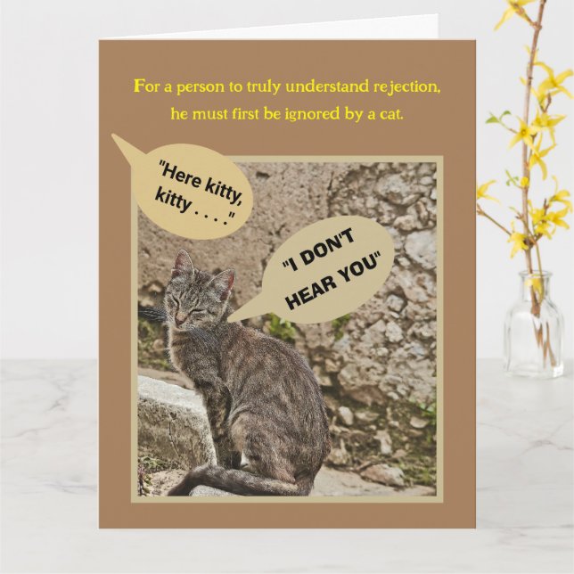 OVERSIZE BIRTHDAY CARD FROM GROUP/HUMOR/CAT  (Yellow Flower)