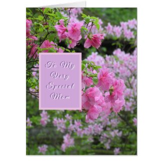 OVERSIZE CARD/TO MY VERY SPCIAL MOM/HAPPY MOTHER'S