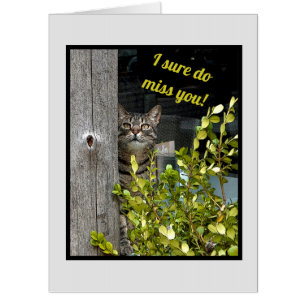 OVERSIZE/ LONELY KITTEN/SURE DO MISS YOU(COVID 19) CARD