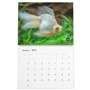 oversized calendars zazzle oversized calendars