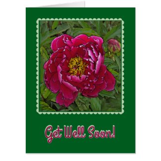 OVERSIZED CARD/GET WELL /FUCHSIA-COLORED PEONY CARD