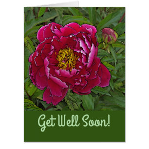 OVERSIZED CARD/GET WELL /FUCHSIA-COLORED PEONY CARD