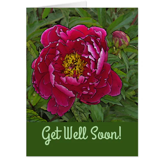 OVERSIZED CARD/GET WELL /FUCHSIA-COLORED PEONY CARD | Zazzle