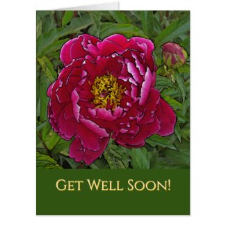 OVERSIZED CARD/GET WELL /FUCHSIA-COLORED PEONY CARD