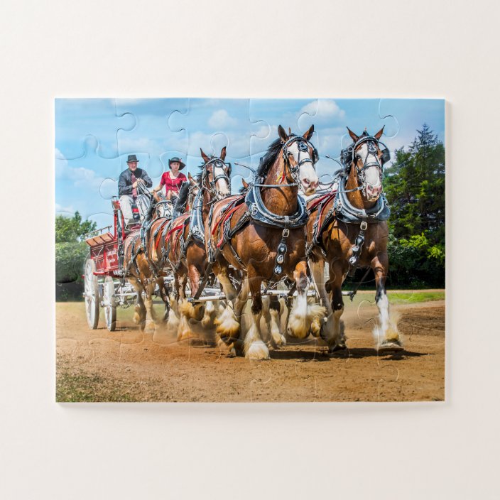 Oversized Clydesdale DRAFT HORSE Jigsaw Puzzle | Zazzle.com