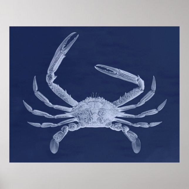 Oversized Crab Triptych in Blue Poster (Front)