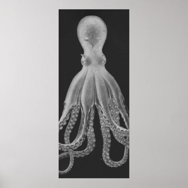 Oversized Octopus Triptych II Print in Gray (Front)