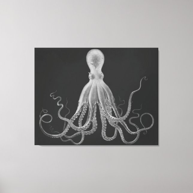 Oversized Octopus Triptych in Gray Canvas Print (Front)